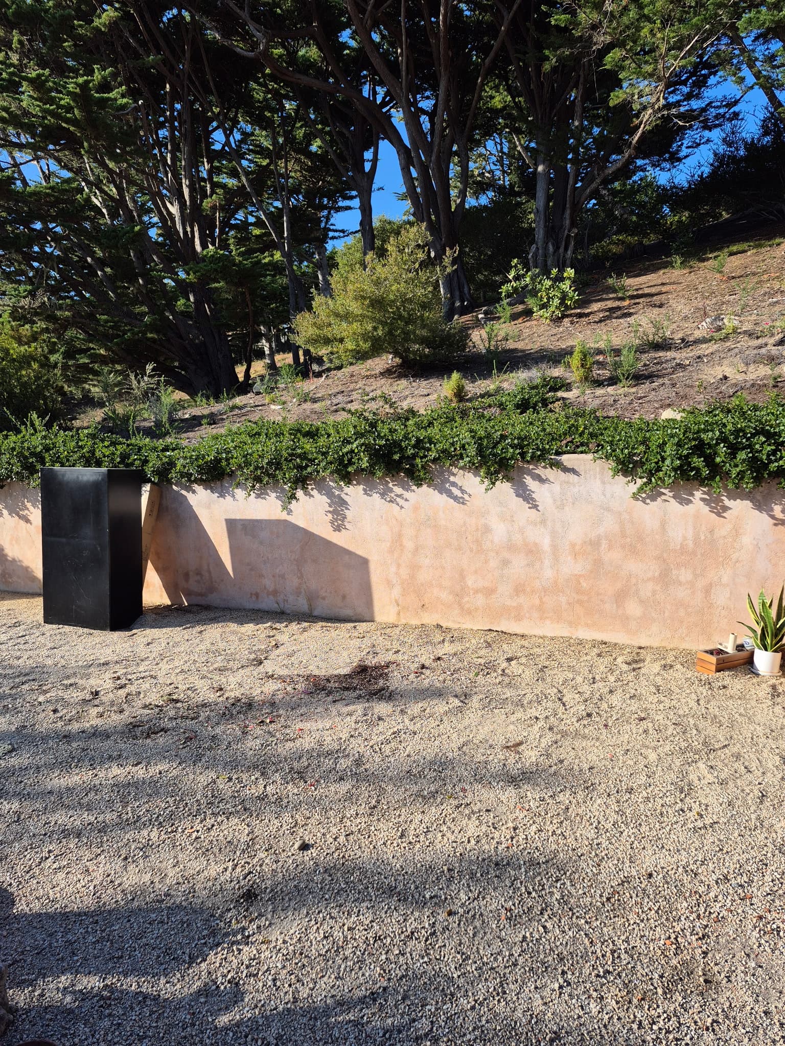 Property cleanout, Monterey